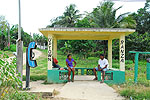 Meksyk, Gwatemala, Belize 2008 - ladami Majw: Palenque, Tikal, Tulum, Coba, Chichen Itza, Uxmal - kliknij aby powikszy