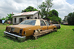 Meksyk, Gwatemala, Belize 2008 - ladami Majw: Palenque, Tikal, Tulum, Coba, Chichen Itza, Uxmal - kliknij aby powikszy