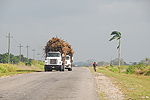 Meksyk, Gwatemala, Belize 2008 - ladami Majw: Palenque, Tikal, Tulum, Coba, Chichen Itza, Uxmal - kliknij aby powikszy