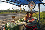 Meksyk, Gwatemala, Belize 2008 - ladami Majw: Palenque, Tikal, Tulum, Coba, Chichen Itza, Uxmal - kliknij aby powikszy