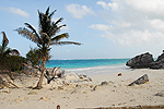 Meksyk, Gwatemala, Belize 2008 - ladami Majw: Palenque, Tikal, Tulum, Coba, Chichen Itza, Uxmal - kliknij aby powikszy