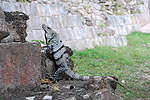 Meksyk, Gwatemala, Belize 2008 - ladami Majw: Palenque, Tikal, Tulum, Coba, Chichen Itza, Uxmal - kliknij aby powikszy