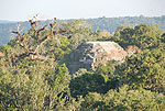 Meksyk, Gwatemala, Belize 2008 - ladami Majw: Palenque, Tikal, Tulum, Coba, Chichen Itza, Uxmal - kliknij aby powikszy