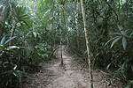 Meksyk, Gwatemala, Belize 2008 - ladami Majw: Palenque, Tikal, Tulum, Coba, Chichen Itza, Uxmal - kliknij aby powikszy