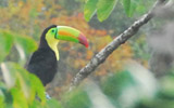 Meksyk, Gwatemala, Belize - śladami Majów: Palenque, Tikal, Tulum, Coba, Chichen Itza, Uxmal