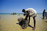 Madagaskar - kliknij aby powi�kszy�